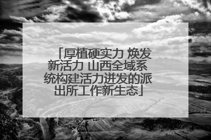 厚植硬实力 焕发新活力 山西全域系统构建活力迸发的派出所工作新生态