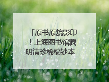 原书原貌影印！上海图书馆藏明清珍稀稿钞本整理出版