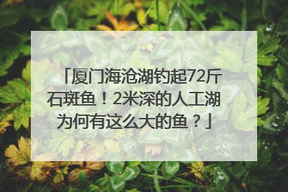 厦门海沧湖钓起72斤石斑鱼！2米深的人工湖为何有这么大的鱼？