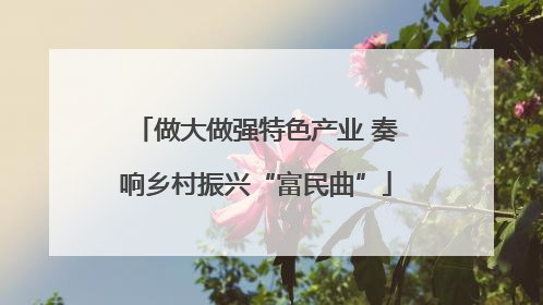 做大做强特色产业 奏响乡村振兴“富民曲”