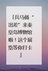 兵马俑“出差”来秦皇岛博物馆啦！这个展览等你打卡