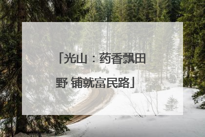 光山：药香飘田野 铺就富民路