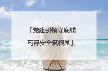 党建引领守底线 药品安全筑根基