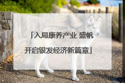 入局康养产业 盛帆开启银发经济新篇章