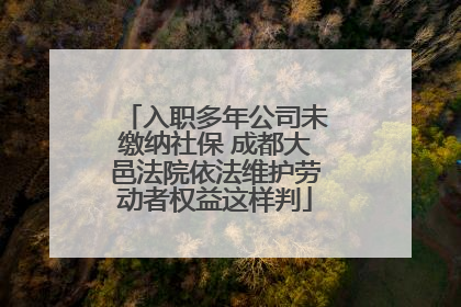 入职多年公司未缴纳社保 成都大邑法院依法维护劳动者权益这样判