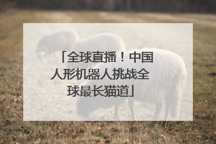 全球直播！中国人形机器人挑战全球最长猫道