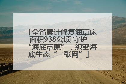 全省累计修复海草床面积938公顷 守护“海底草原”，织密海底生态“一张网”