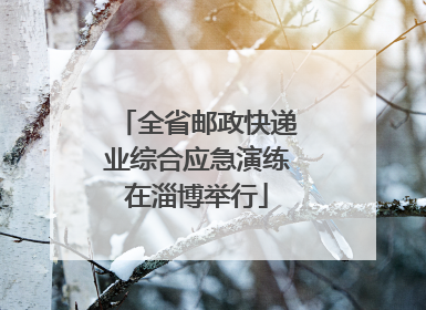 全省邮政快递业综合应急演练在淄博举行