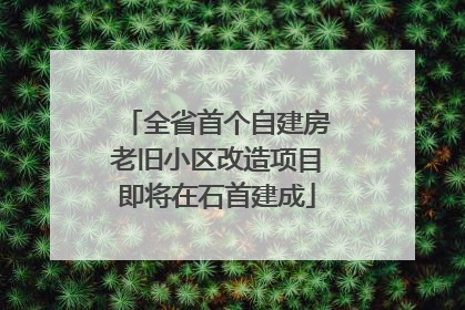 全省首个自建房老旧小区改造项目即将在石首建成