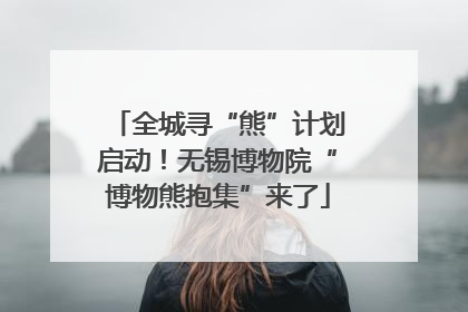 全城寻“熊”计划启动！无锡博物院“博物熊抱集”来了