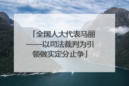 全国人大代表马丽——以司法裁判为引领做实定分止争