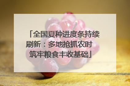 全国夏种进度条持续刷新：多地抢抓农时 筑牢粮食丰收基础