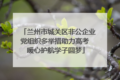 兰州市城关区非公企业党组织多举措助力高考 暖心护航学子圆梦