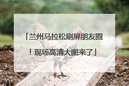 兰州马拉松刷屏朋友圈！现场高清大图来了