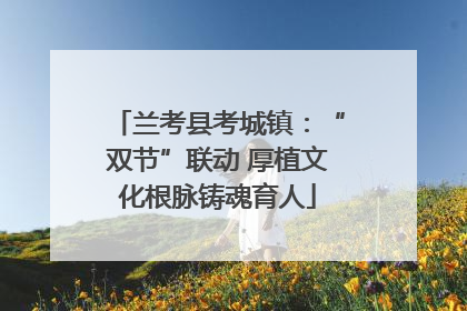 兰考县考城镇：“双节”联动 厚植文化根脉铸魂育人