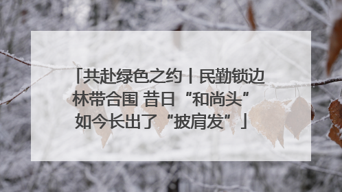 共赴绿色之约丨民勤锁边林带合围 昔日“和尚头”如今长出了“披肩发”