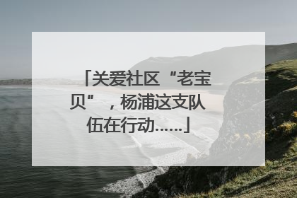 关爱社区“老宝贝”，杨浦这支队伍在行动……