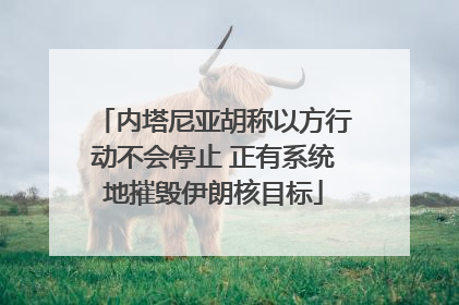 内塔尼亚胡称以方行动不会停止 正有系统地摧毁伊朗核目标