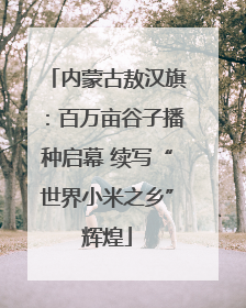 内蒙古敖汉旗：百万亩谷子播种启幕 续写“世界小米之乡”辉煌