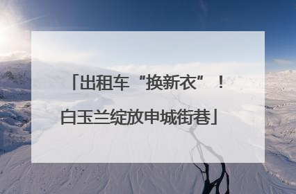 出租车“换新衣”！白玉兰绽放申城街巷