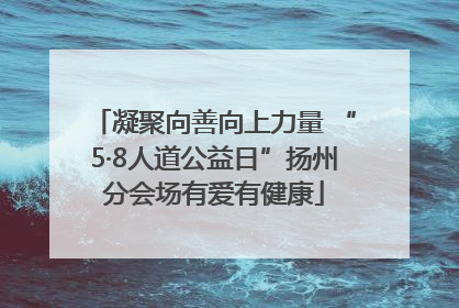凝聚向善向上力量 “5·8人道公益日”扬州分会场有爱有健康