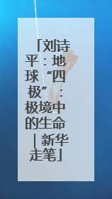 刘诗平：地球“四极”：极境中的生命｜新华走笔