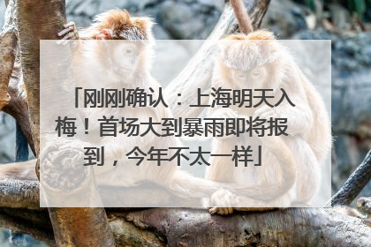 刚刚确认：上海明天入梅！首场大到暴雨即将报到，今年不太一样