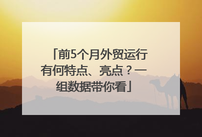 前5个月外贸运行有何特点、亮点？一组数据带你看