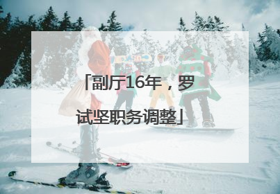 副厅16年，罗试坚职务调整