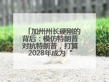 加州州长硬刚的背后：模仿特朗普对抗特朗普，打算2028年成为“特朗普”