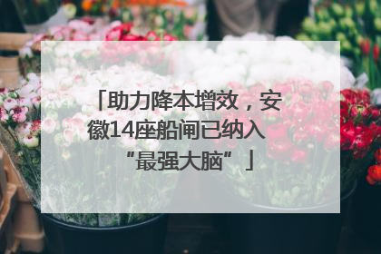 助力降本增效，安徽14座船闸已纳入“最强大脑”
