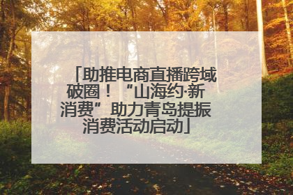 助推电商直播跨域破圈！“山海约·新消费”助力青岛提振消费活动启动