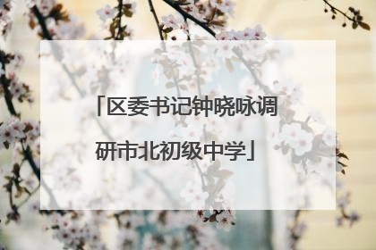 区委书记钟晓咏调研市北初级中学