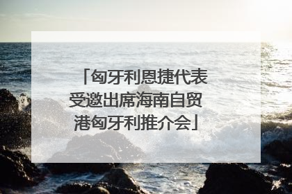 匈牙利恩捷代表受邀出席海南自贸港匈牙利推介会