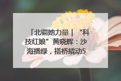 北疆她力量｜“科技红娘”黄晓辉：沙海播绿，搭桥撬动5.3亿研发