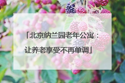 北京纳兰园老年公寓：让养老享受不再单调