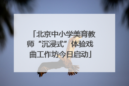 北京中小学美育教师“沉浸式”体验戏曲工作坊今日启动