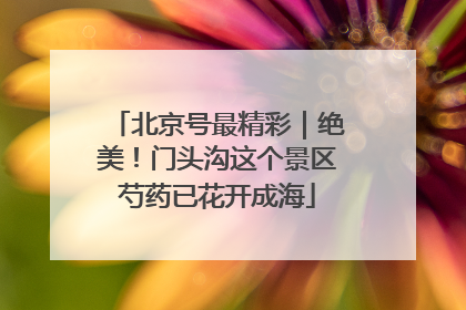 北京号最精彩｜绝美！门头沟这个景区芍药已花开成海