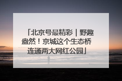 北京号最精彩｜野趣盎然！京城这个生态桥连通两大网红公园