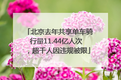 北京去年共享单车骑行量11.44亿人次，超千人因违规被限