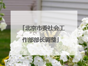 北京市委社会工作部部长调整