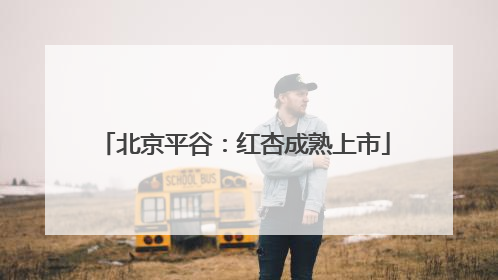 北京平谷：红杏成熟上市