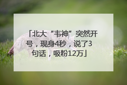 北大“韦神”突然开号，现身4秒，说了3句话，吸粉12万