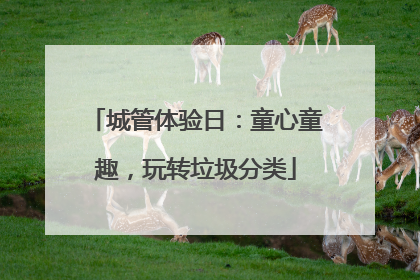 城管体验日：童心童趣，玩转垃圾分类