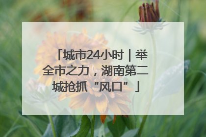 城市24小时｜举全市之力，湖南第二城抢抓“风口”