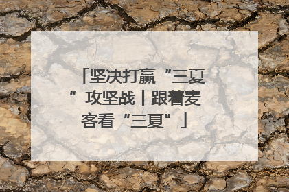 坚决打赢“三夏”攻坚战丨跟着麦客看“三夏”