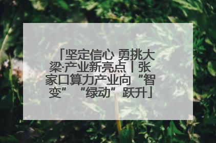 坚定信心 勇挑大梁·产业新亮点丨张家口算力产业向“智变”“绿动”跃升