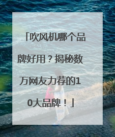 吹风机哪个品牌好用？揭秘数万网友力荐的10大品牌！