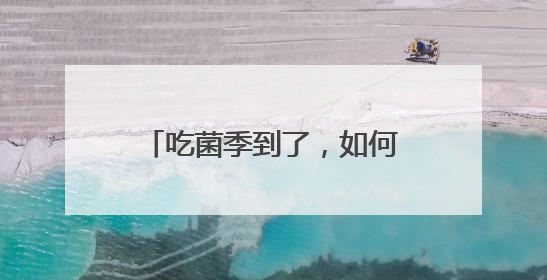吃菌季到了，如何吃得开心又放心？