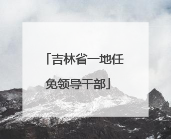 吉林省一地任免领导干部
